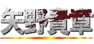 矢野貴章 ()