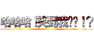 哈哈哈！笑到我喷饭！？ ()