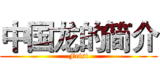 中国龙的简介 (Frist)