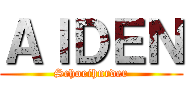 ＡＩＤＥＮ (Schoeihnrder)