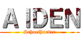 ＡＩＤＥＮ (Schoeihnrder)
