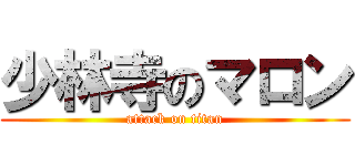 少林寺のマロン (attack on titan)