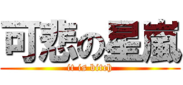 可悲の星嵐 (it is bitch)