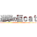 進撃の巨ｃａｔ (attack on titan)