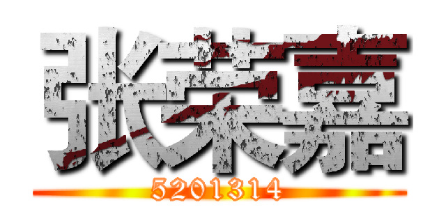 张荣嘉 (5201314)