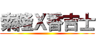 索隆Ｘ香吉士 ()