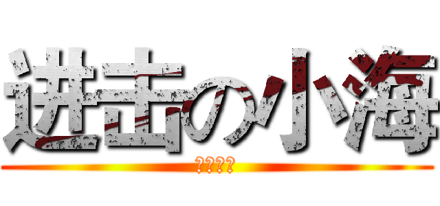 进击の小海 (风好大大)