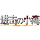 进击の小海 (风好大大)