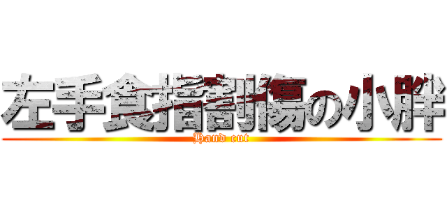 左手食指割傷の小胖 (Hand cut)