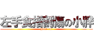 左手食指割傷の小胖 (Hand cut)