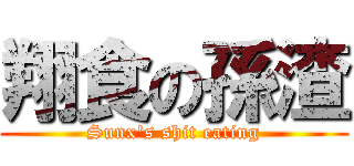 翔食の孫渣 (Sunx\'s shit eating)