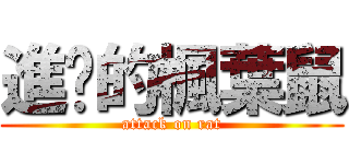 進擊的楓葉鼠 (attack on rat)