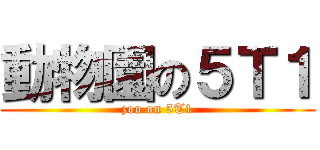 動物園の５Ｔ１ (zoo on 5T1)