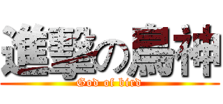 進擊の鳥神 (God of bird)