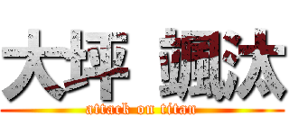 大坪 颯汰 (attack on titan)