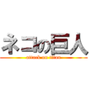 ネコの巨人 (attack on titan)