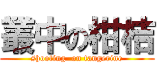 叢中の柑桔 (shooting  on tangerine)