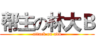 帮主の林大Ｂ (attack on ndb)