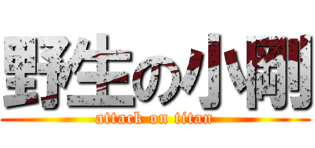 野生の小剛 (attack on titan)