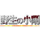 野生の小剛 (attack on titan)