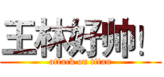 王林好帅！ (attack on titan)