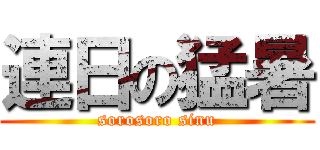 連日の猛暑 (sorosoro sinu)