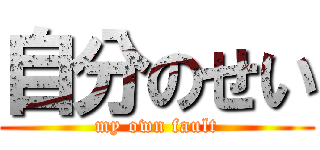 自分のせい (my own fault)