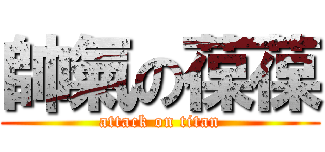 帥氣の葆葆 (attack on titan)