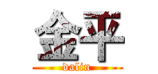 金平 (dalin)