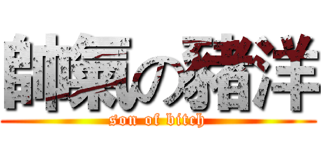 帥氣の豬洋 (son of bitch)
