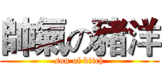 帥氣の豬洋 (son of bitch)