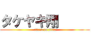 タケヤキ翔      (attack on titan)