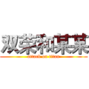 双荣和某某 (attack on titan)