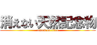 消えない天然記念物 (attack on titan)