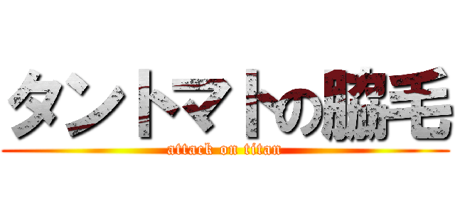 タントマトの脇毛 (attack on titan)