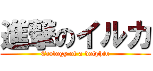 進撃のイルカ (Ecology of a dolphin)