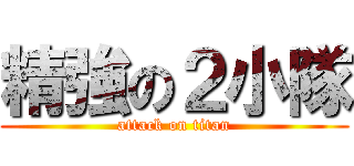 精強の２小隊 (attack on titan)