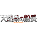 天然呆の船長 ( KomicaWiki)