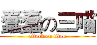 蠢蠢の三喵 (attack on titan)