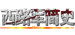 西路军简史 (True)