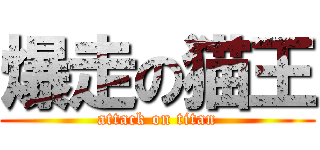 爆走の猫王 (attack on titan)