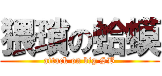 猥瑣の蛤蟆 (attack on big SB)