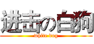 进击の白狗 (white dog)