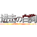 进击の白狗 (white dog)