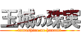 玉城の珠実 (tamashiro no hanami)