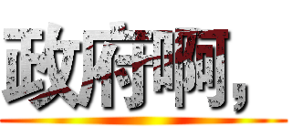 政府啊， ()