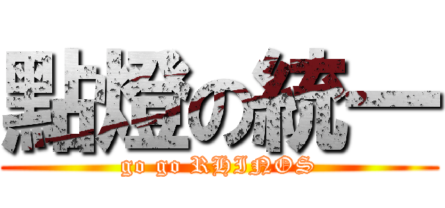 點燈の統一 (go go RHINOS)