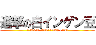 進撃の白インゲン豆 (attack on White kidney beans)