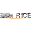 進撃の ＲＩＣＥ (photographer)
