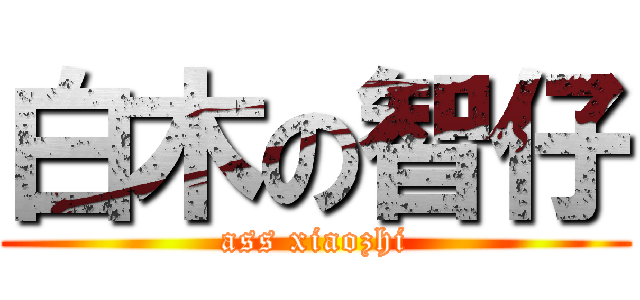 白木の智仔 (ass xiaozhi)